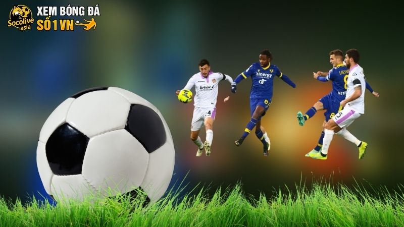 Dự đoán kèo Verona vs Cremonese 23:30 15/09: Cơ hội chia điểm 3 Dự đoán kèo Verona vs Cremonese: Cơ hội chia điểm