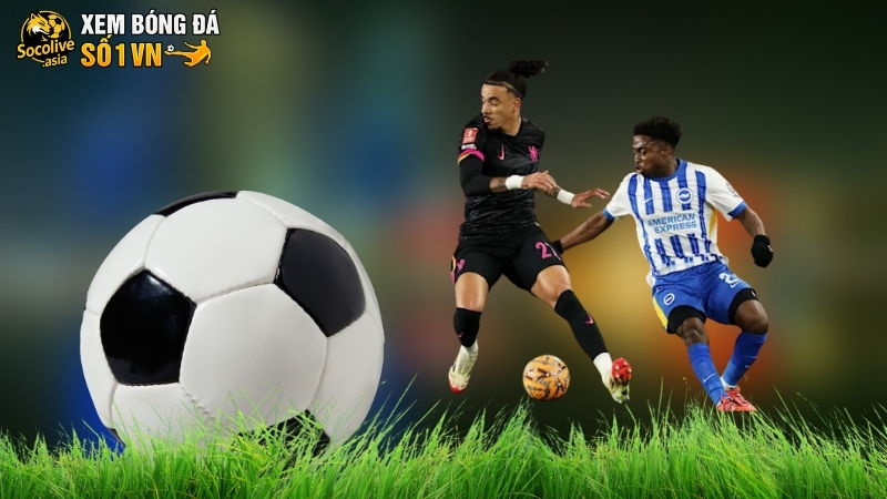 Nhận định trước trận Chelsea vs Brighton, “Chè xanh” đối đầu ''Hải Âu'' 3 Dự đoán tỷ số Chelsea vs Brighton