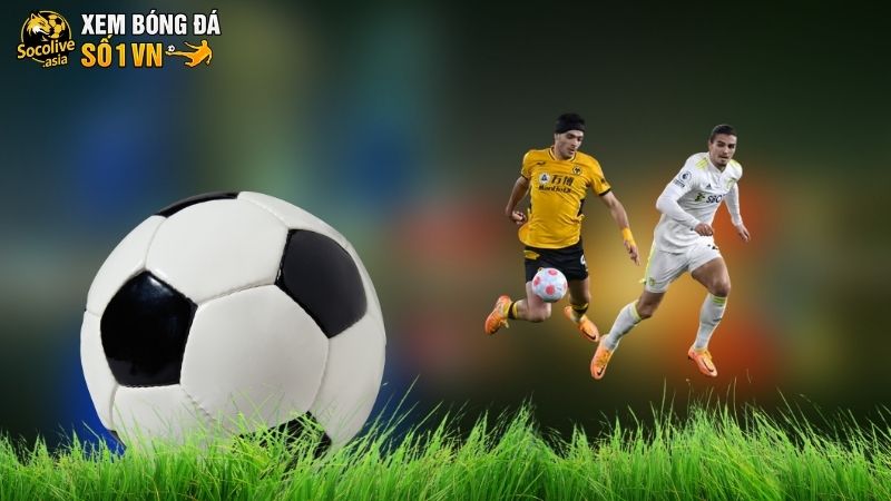 Nhận định Wolves vs Leeds 21:00 20/09: Bầy sói nắm lợi thế sân nhà 3 Nhận định Wolves vs Leeds chuẩn kèo thơm