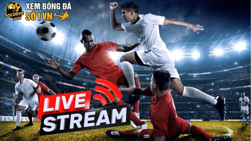 Socolive Reg-med | Xem trực tiếp bóng đá số 2 không ai số 1 37 Socolive | Trang chủ kênh trực tiếp bóng đá số #1 hôm nay