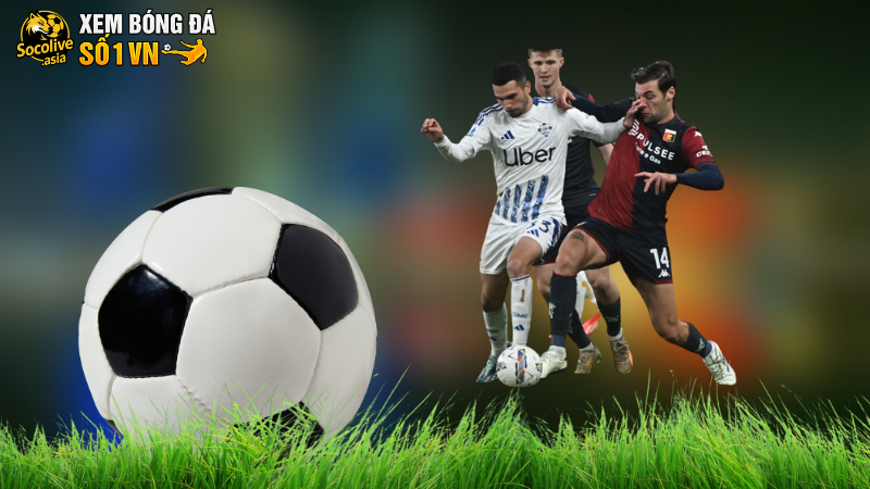 Soi kèo Seria A Como vs Genoa 01:45 16/09: Trận đấu khó đoán 3 Soi kèo Seria A Como vs Genoa: Trận đấu khó đoán