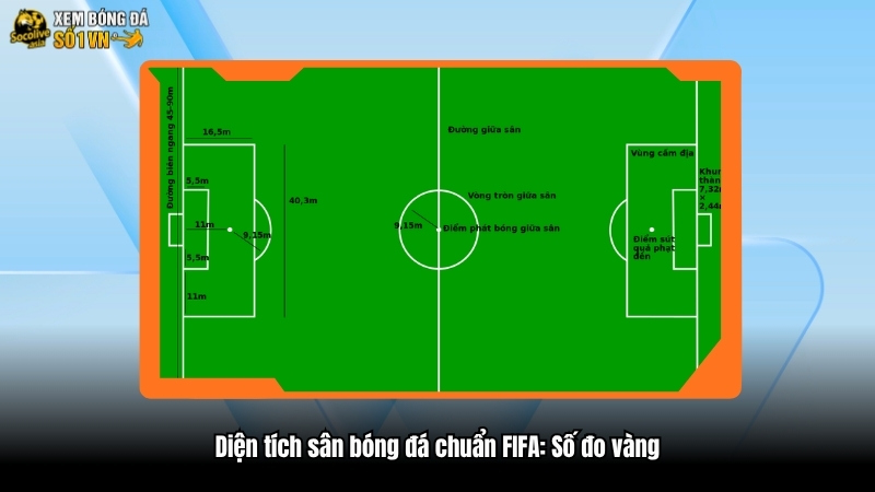 Diện tích sân bóng đá chuẩn FIFA: Số đo vàng