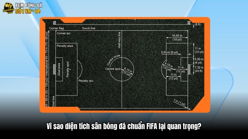 Diện tích sân bóng đá chuẩn FIFA chính xác nhất là bao nhiêu? 3 Vì sao diện tích sân bóng đá chuẩn FIFA lại quan trọng