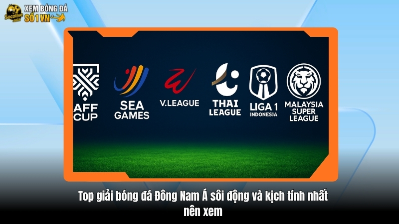 Top giải bóng đá Đông Nam Á sôi động và kịch tính nhất nên xem 