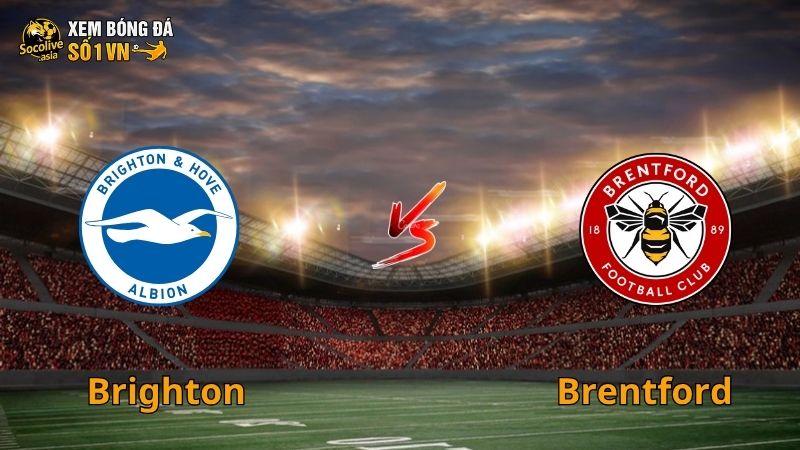 Soi kèo nhà cái Brighton vs Brentford 22:00 22/11 – Trận cầu cởi mở nhiều bàn thắng