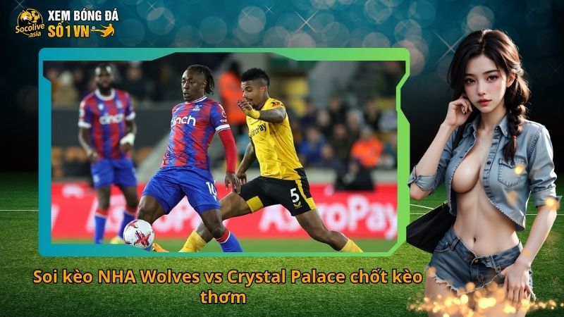 Soi kèo NHA Wolves vs Crystal Palace chốt kèo thơm