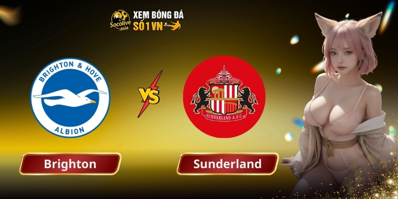 Soi kèo bóng đá Brighton vs Sunderland 22:00 20/12: Chim Mòng mạnh hơn