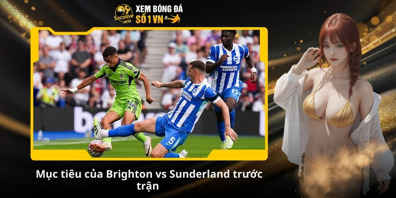 Soi kèo bóng đá Brighton vs Sunderland 22:00 20/12: Chim Mòng mạnh hơn 3 Mục tiêu của Brighton vs Sunderland trước trận