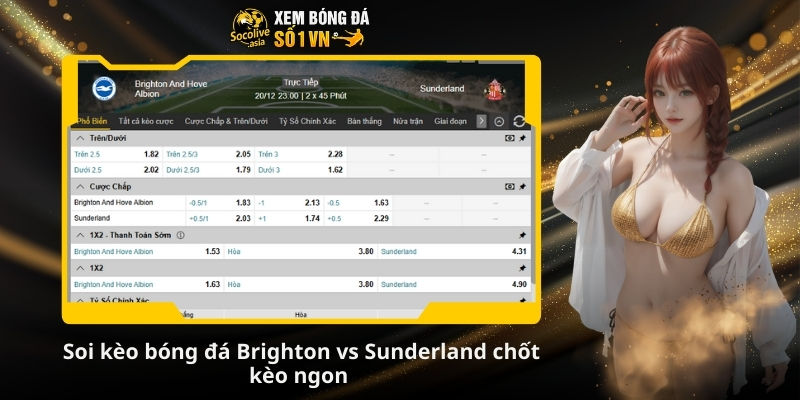 Soi kèo bóng đá Brighton vs Sunderland 22:00 20/12: Chim Mòng mạnh hơn 4 Soi kèo bóng đá Brighton vs Sunderland chốt kèo ngon