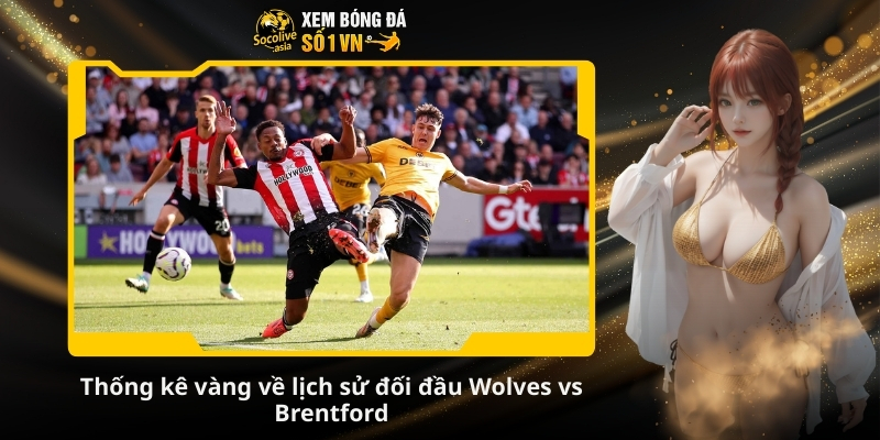 Dự đoán kèo Wolves vs Brentford 22:00 20/12: Trận cầu giành điểm mạnh 3 Thống kê vàng về lịch sử đối đầu Wolves vs Brentford