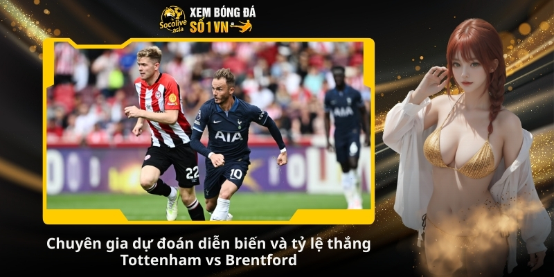 Dự đoán tỷ số bóng đá Tottenham vs Brentford 22:00 06/12: Gà trống trở lại? 3 Chuyên gia dự đoán diễn biến và tỷ lệ thắng Tottenham vs Brentford