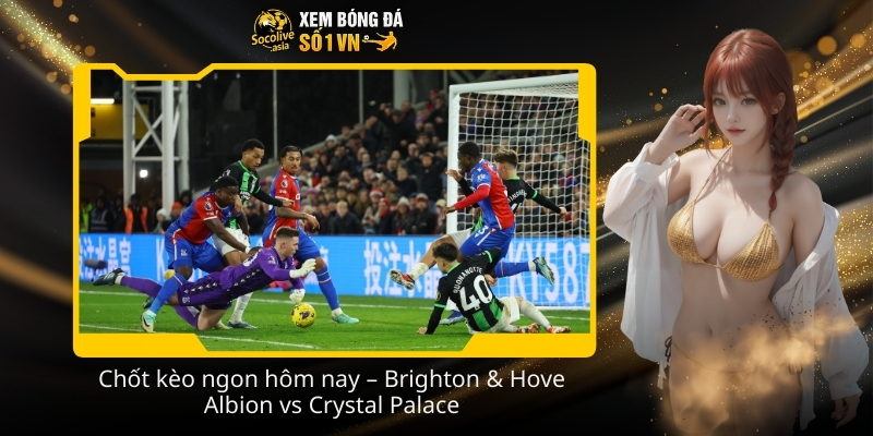 Soi kèo nhà cái Brighton & Hove Albion vs Crystal Palace 21:00 08/02 derby 3 Chot keo ngon hom nay – Brighton Hove Albion vs Crystal Palace