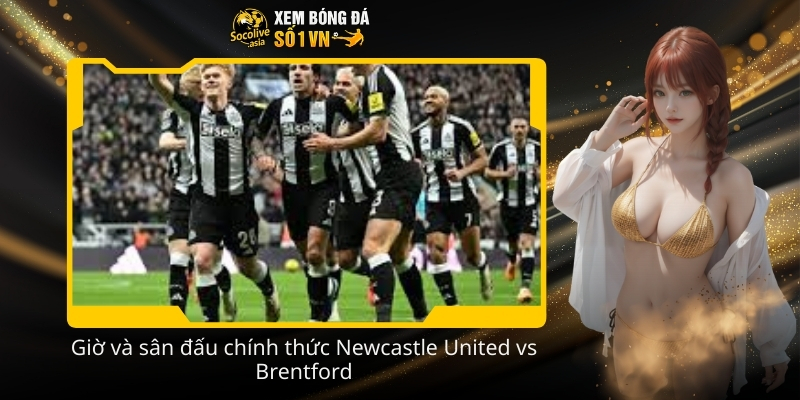 Soi kèo hôm nay Newcastle United vs Brentford 00:30 08/02 đáng chú ý 3 Gio va san dau chinh thuc Newcastle United vs Brentford